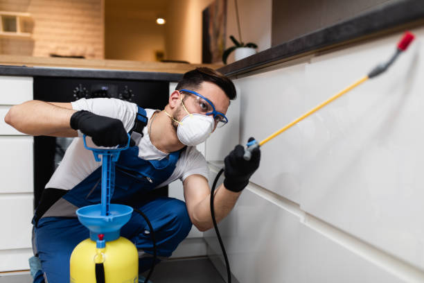 Trusted West Park, NJ Pest Control Experts