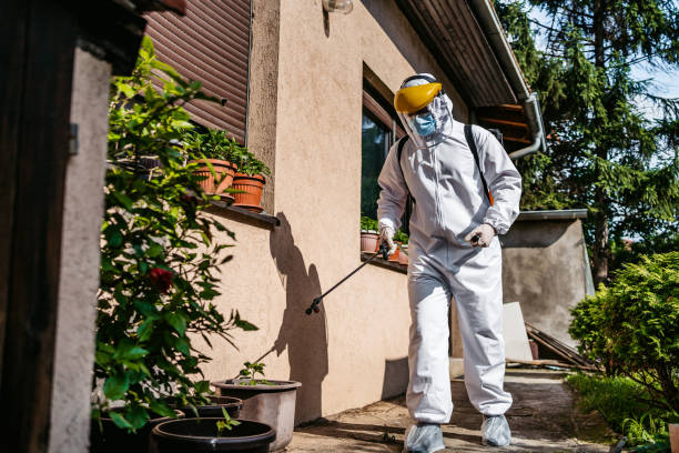Best Emergency Pest Control  in West Park, NJ