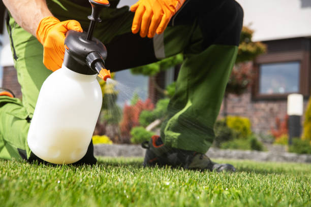 Best Rat Extermination Near Me  in West Park, NJ