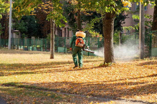 Best Pest Control Treatment  in West Park, NJ