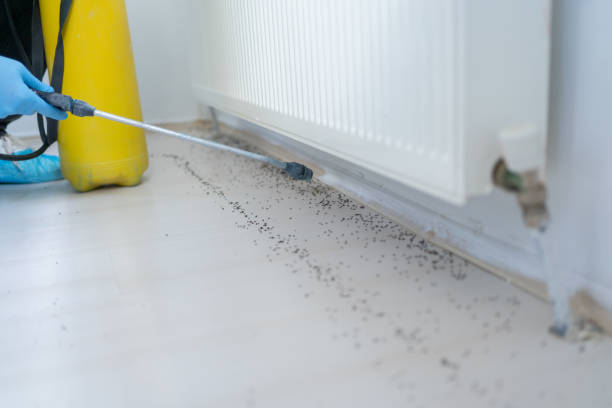 Insect Control in West Park, NJ