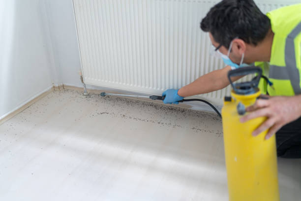 Best Ant Control Services  in West Park, NJ