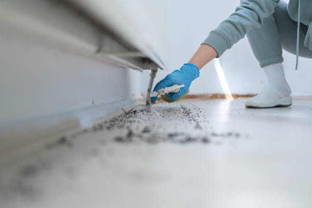Best Affordable Pest Control Services  in West Park, NJ
