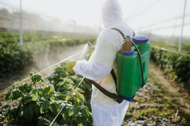  West Park, NJ Pest Control Pros